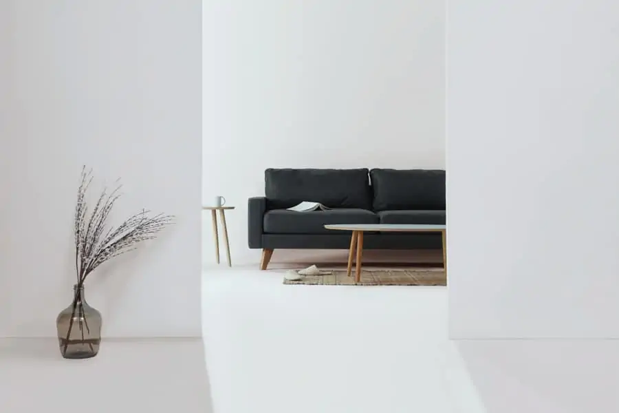 A minimalist living space with neutral colour like black sofa and white walls with a small decorative plant