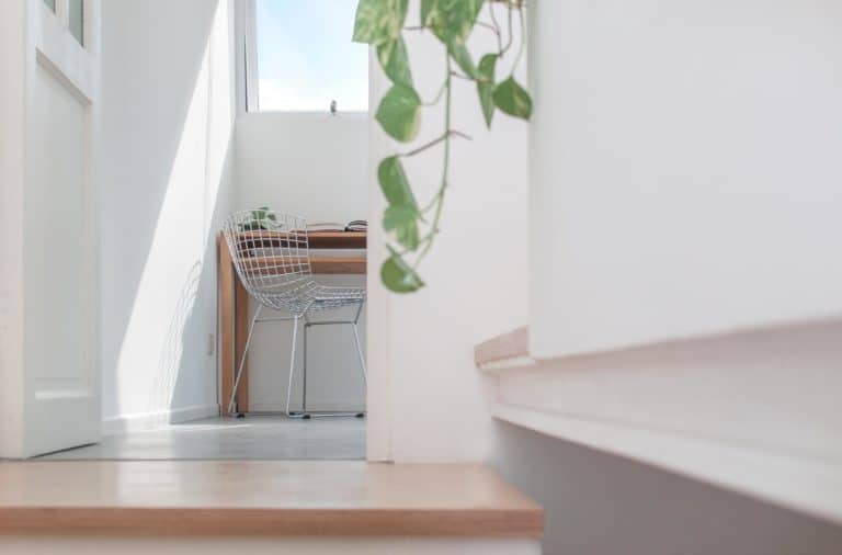 The Curse of The Minimalist Aesthetic