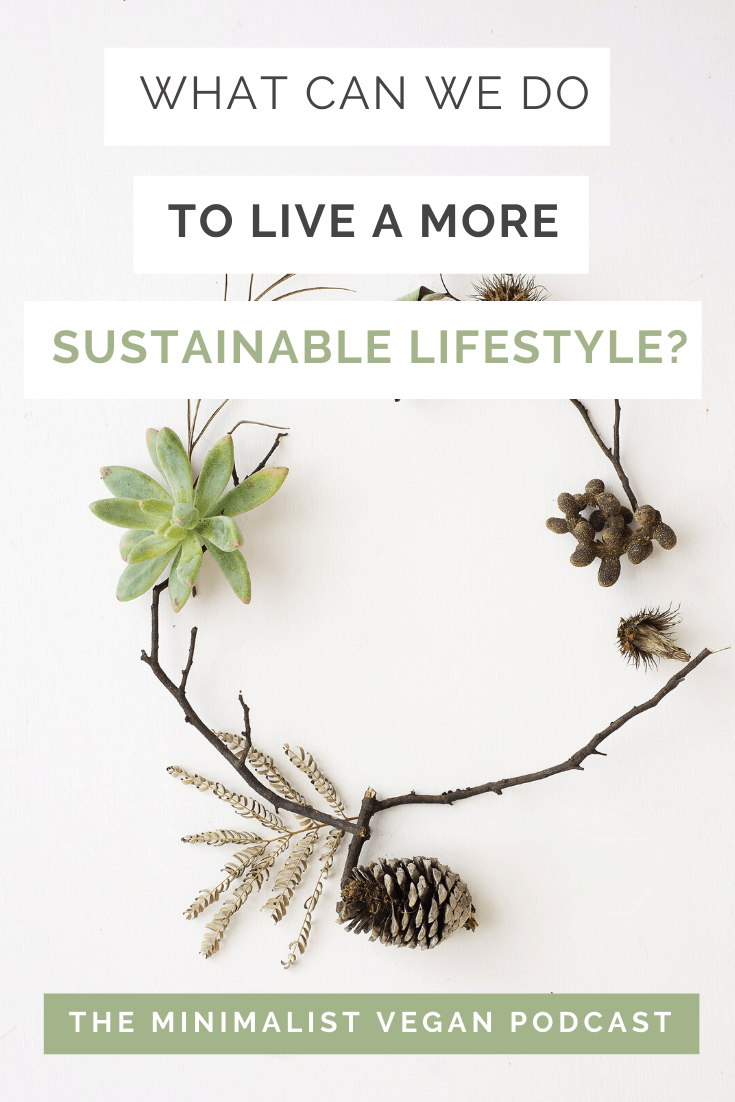 What Can We Do To Live a More Sustainable Lifestyle?