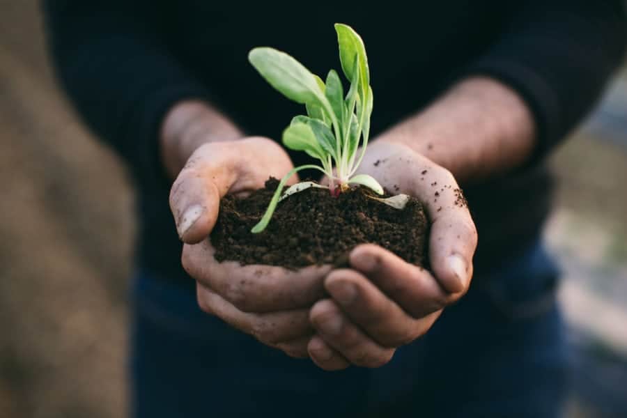 Home Composting Of Kitchen Waste - Grow Herbs, Make Compost Of Kitchen  Waste & Stock Essentials: Great Eco-Friendly Habits Post-Lockdown