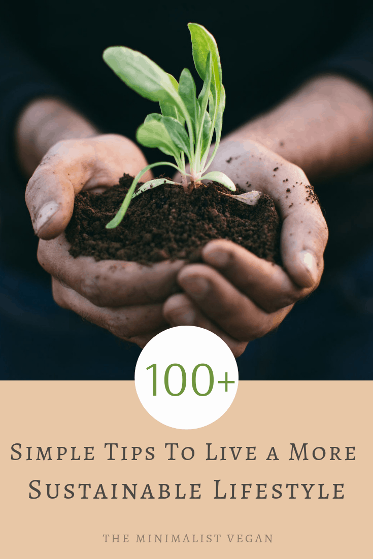 Beginners' Guide to Sustainable Living: 10 Easy Eco-Conscious Tips You Can  Do Today