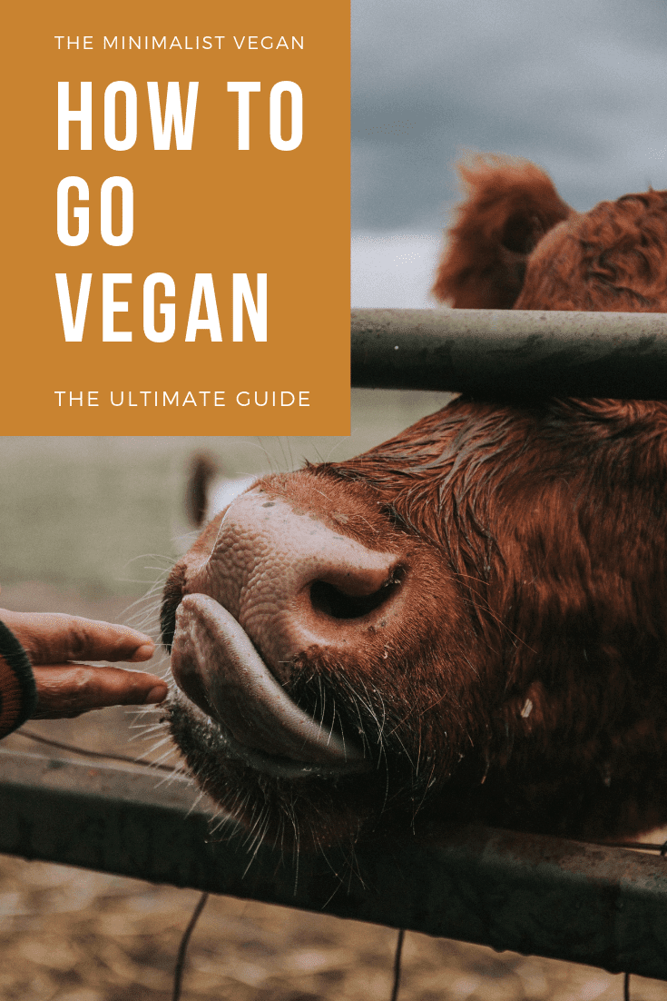 How To Go Vegan: The ultimate Guide