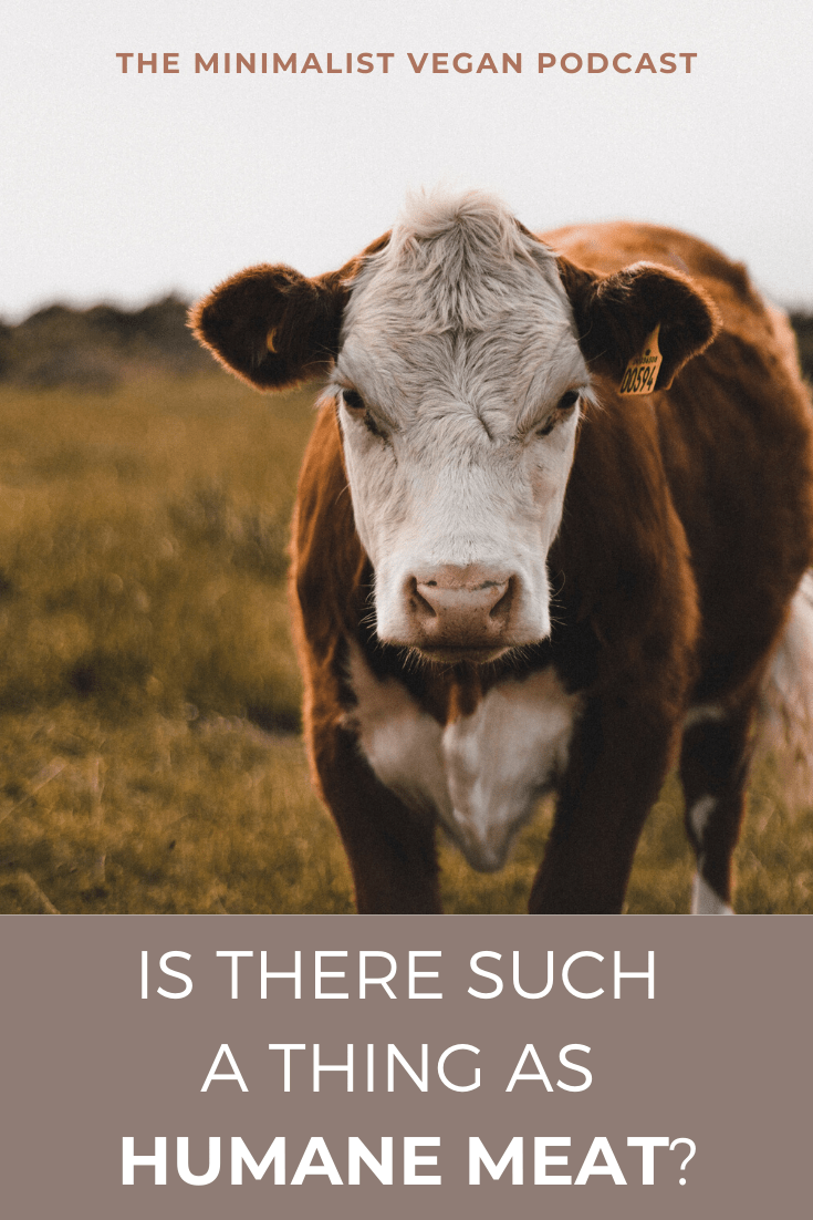 Is There Such a Thing as Humane Meat?