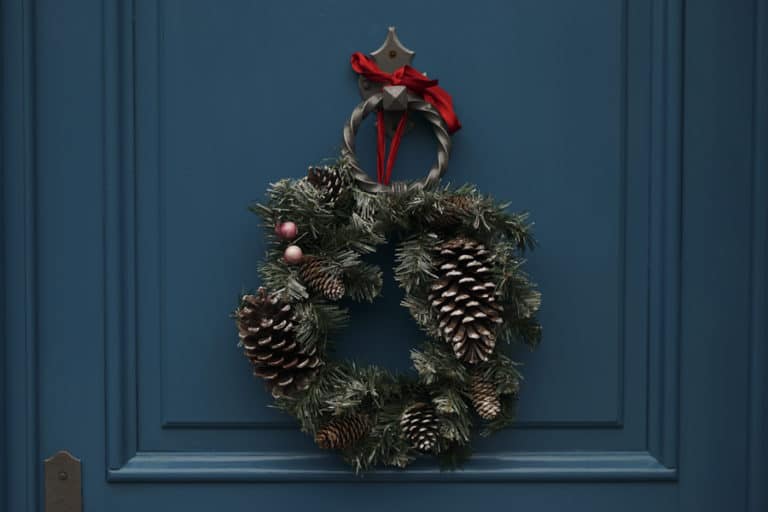 How To Enjoy The Holiday Season as a Vegan – Episode 038