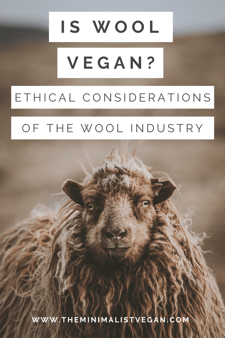 Is Wool Vegan? Ethical Considerations of The Wool Industry