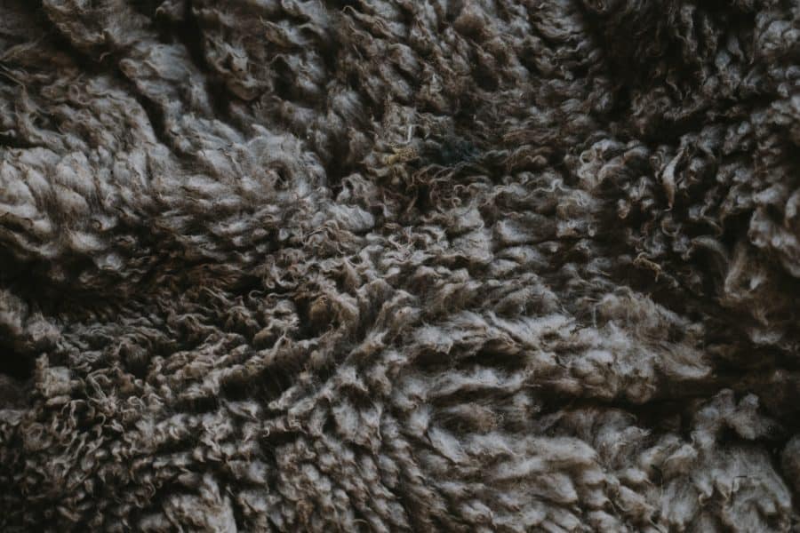 wool