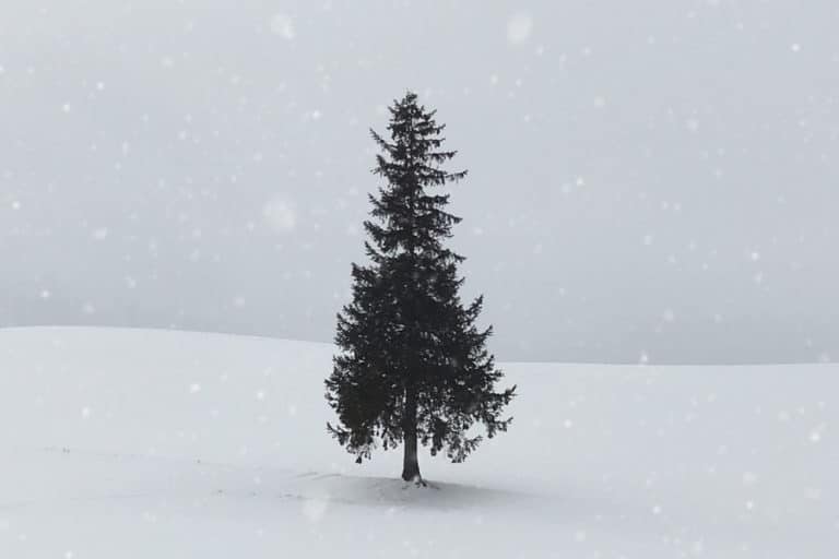 Our Approach To Minimalism at Christmas – Episode 043
