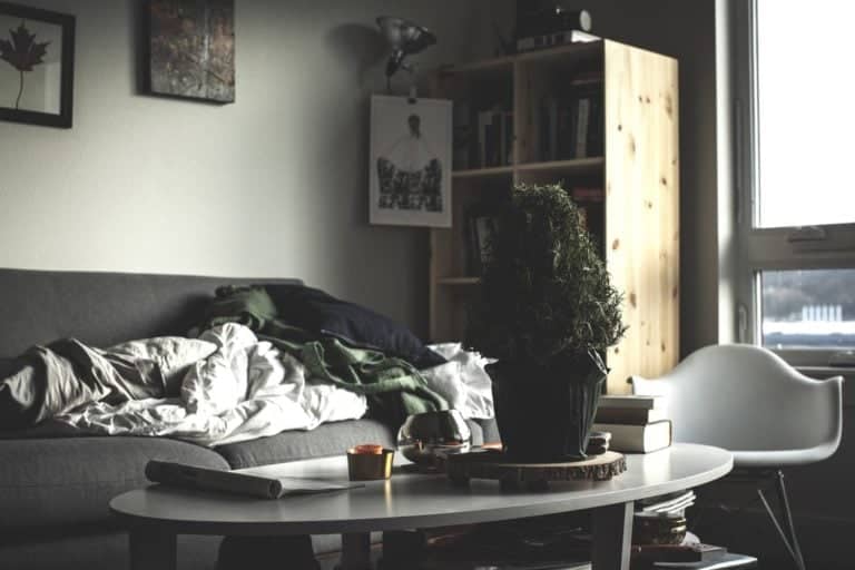 The Negative Effects of Clutter: Backed By Science