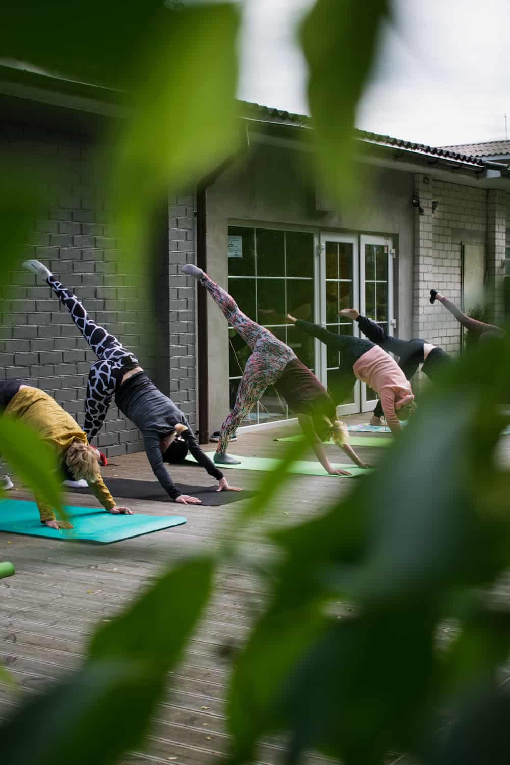 yoga class outside shot through leaves.