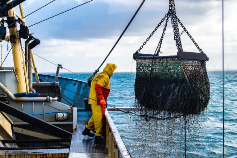 A Much Needed Conversation About Fishing – Episode 059