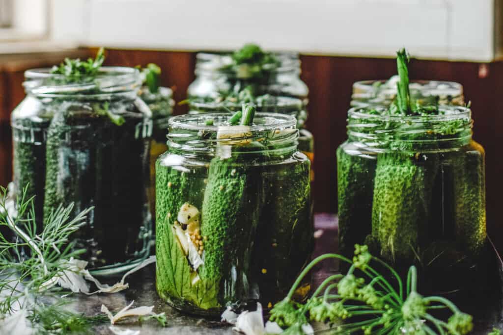 Pickling jars being filled with gherkins.