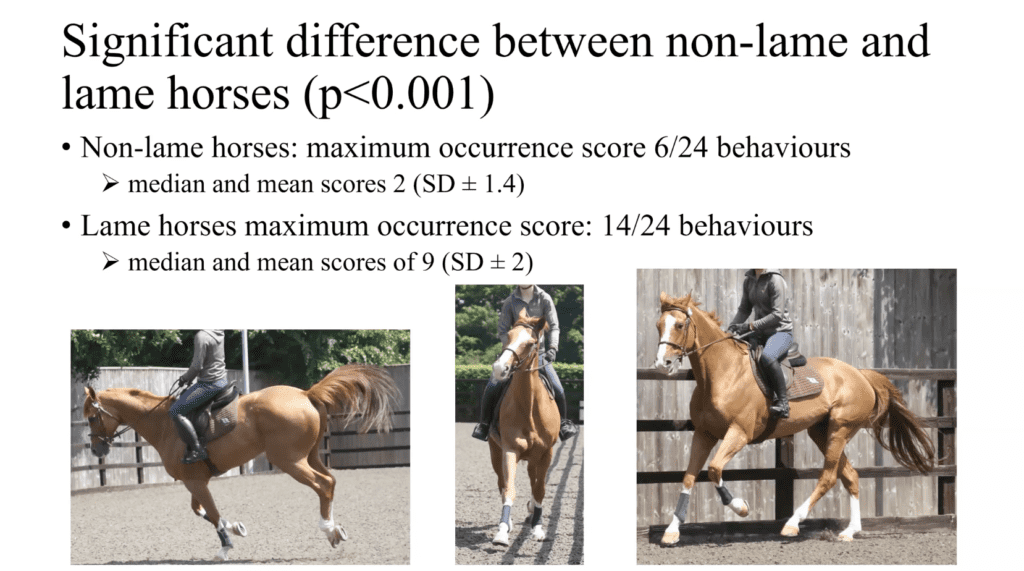 non lame vs lame horses