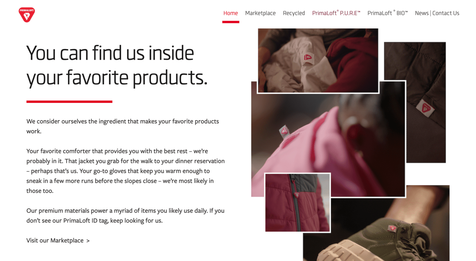 Are Feathers and Down Vegan? An Ethical Analysis + 10 Alternatives