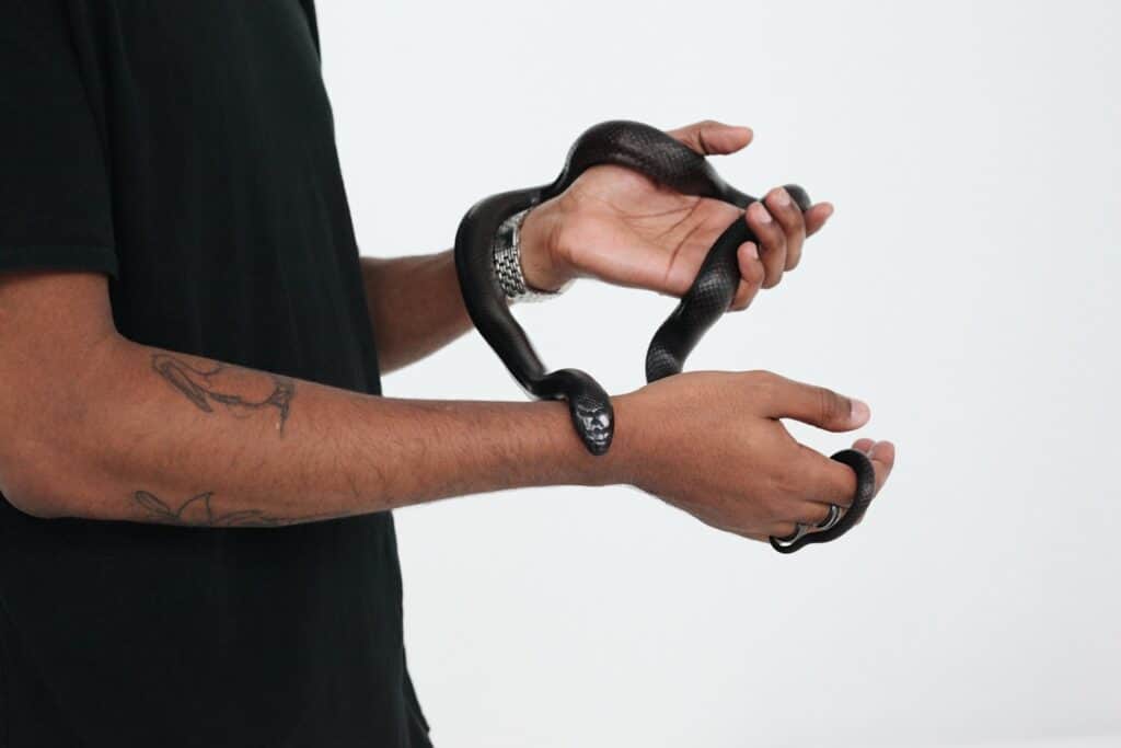 man holding snake