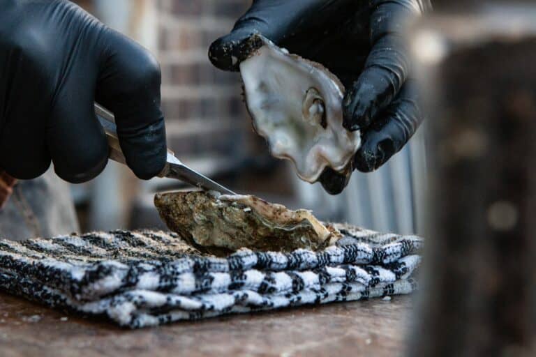 Are Oysters Vegan? Do They Feel Pain? What You Need To Know