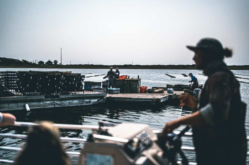 oyster farm