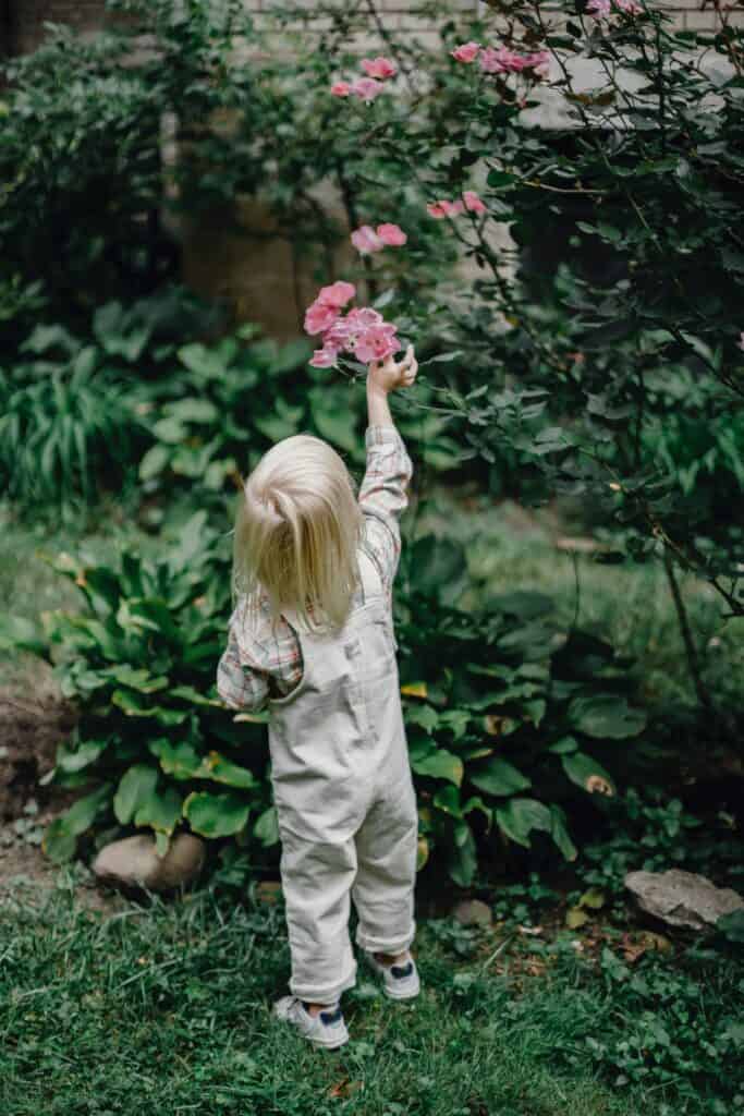 child in nature simplicity