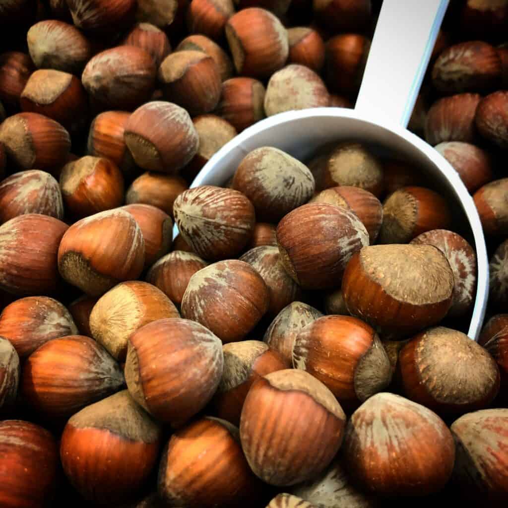 hazelnuts