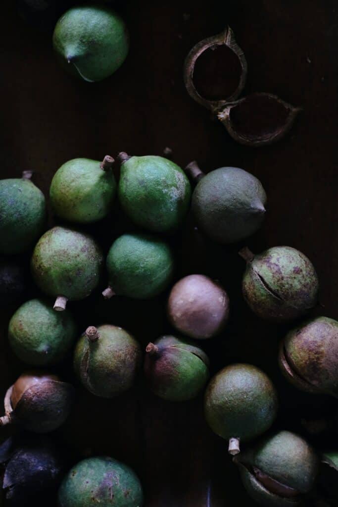 macadamias