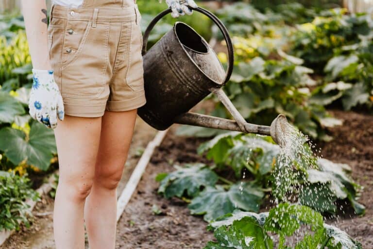 11 Practical Slow Living Tips (Even If You Live In The City or Have Kids)