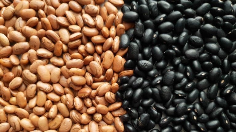 Black Beans vs Pinto Beans: How to Choose the Healthier?