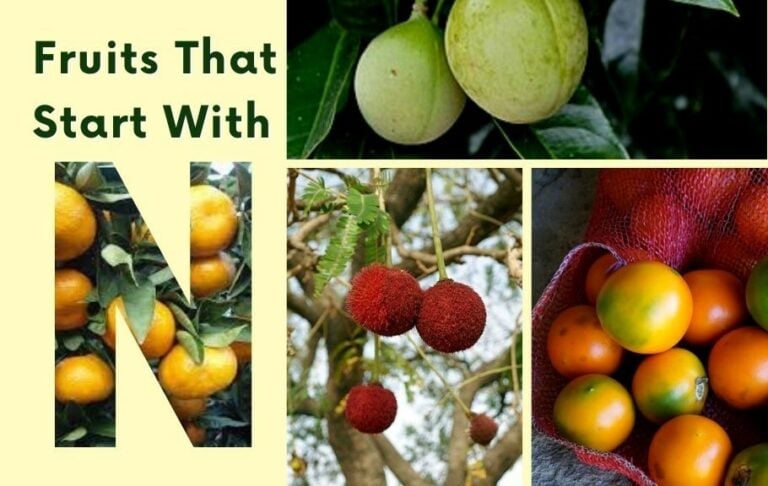 20 Fruits that Start with N