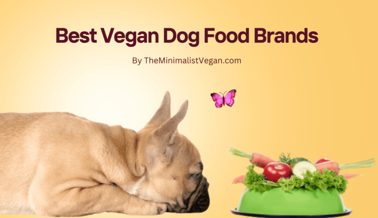 10 Best Vegan Dog Food Brands that Your Dog Will Love 