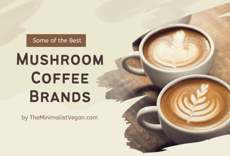 14 Best Tasting Mushroom Coffee Brands of 2024