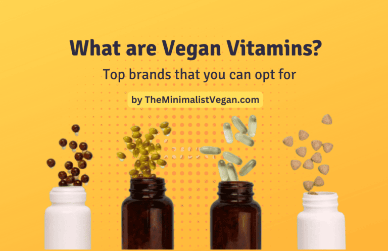 What are Vegan Vitamins? Top 9 Vegan Multivitamin Brands